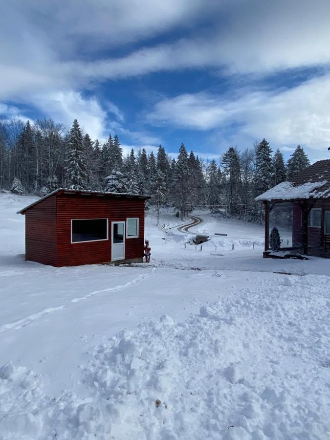 Cabana Elena Vila Gîrda de Sus Exterior foto